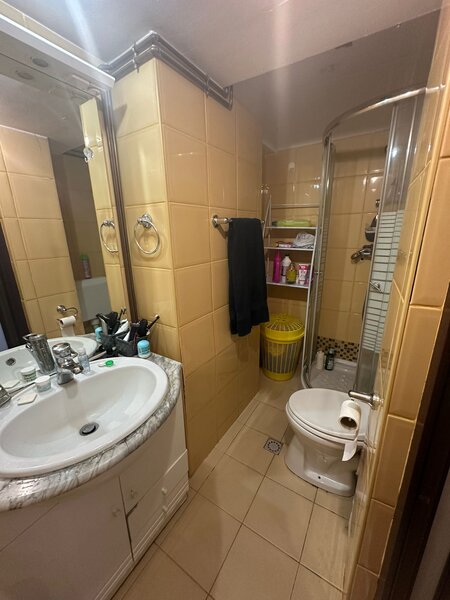 Universitate, Intercontinental,